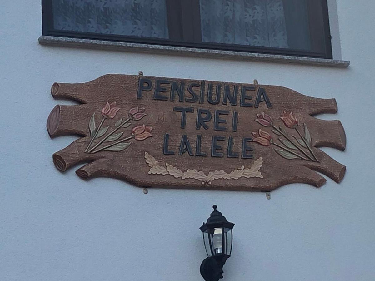 Pensiunea Trei Lalele Moisei Dış mekan fotoğraf
