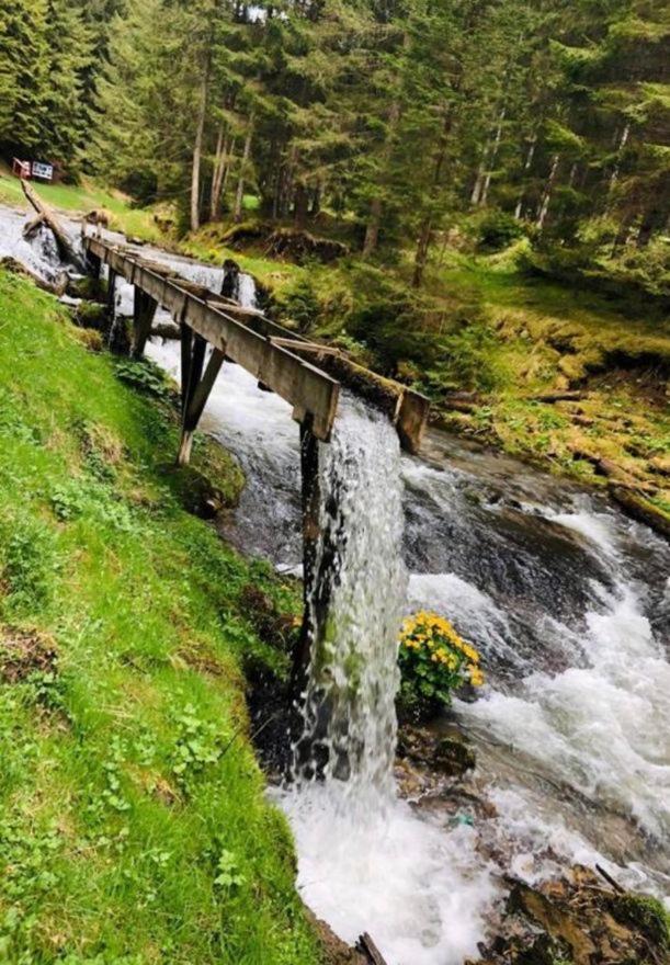 Pensiunea Trei Lalele Moisei Dış mekan fotoğraf