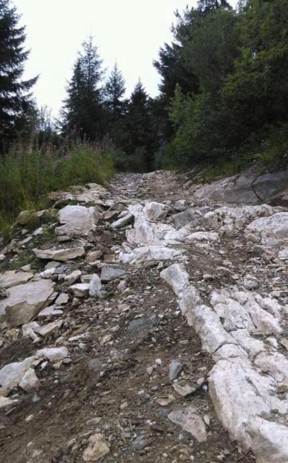 Pensiunea Trei Lalele Moisei Dış mekan fotoğraf